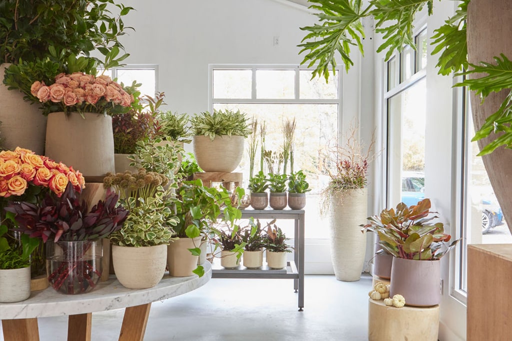 Greenwich, CT Floral Gallery Winston Flowers